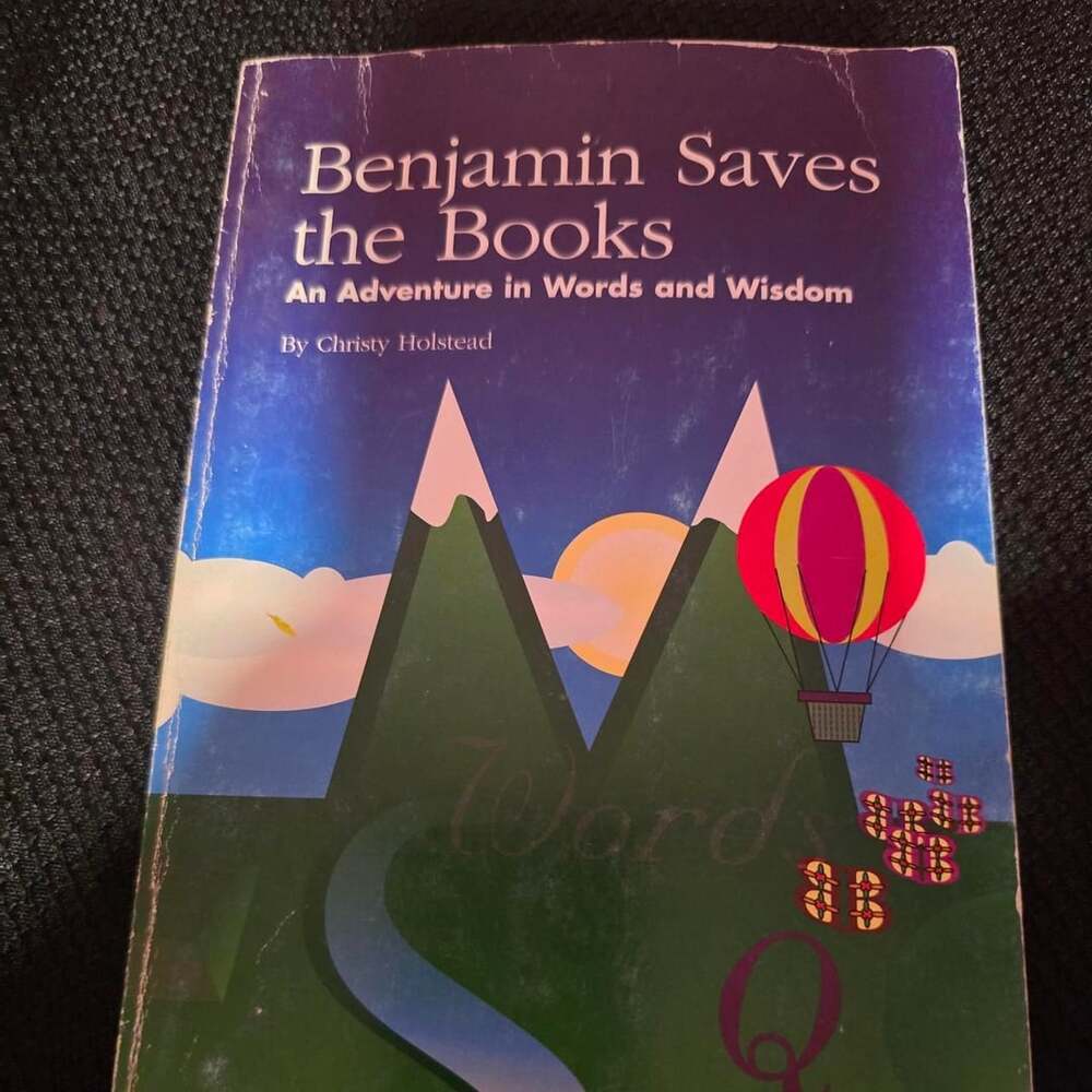 Benjamin Saves the Books Paperback Book Christy Holstead